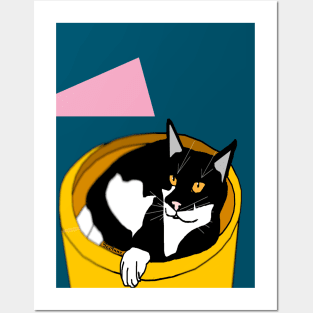 Cute Tuxedo Cat laying in a fruit bowl.  Copyright TeAnne Posters and Art